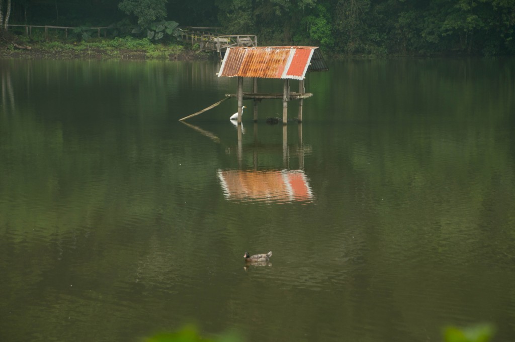 Foto de Lauguna de Fraijanes, Costa Rica