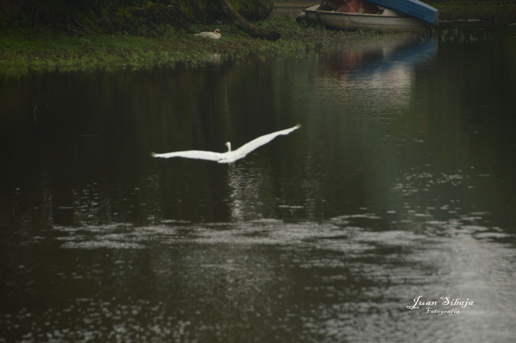 Foto de Lauguna de Fraijanes (Alajuela), Costa Rica