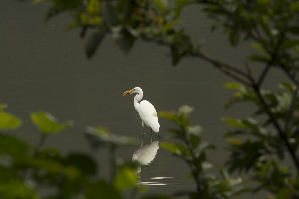 Foto de Lauguna de Fraijanes, Costa Rica