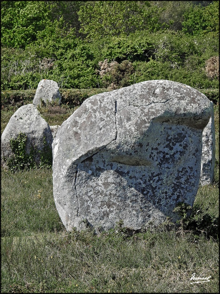 Foto: 170506-186 CARNAC MEGALITOS - Carnac (Brittany), Francia