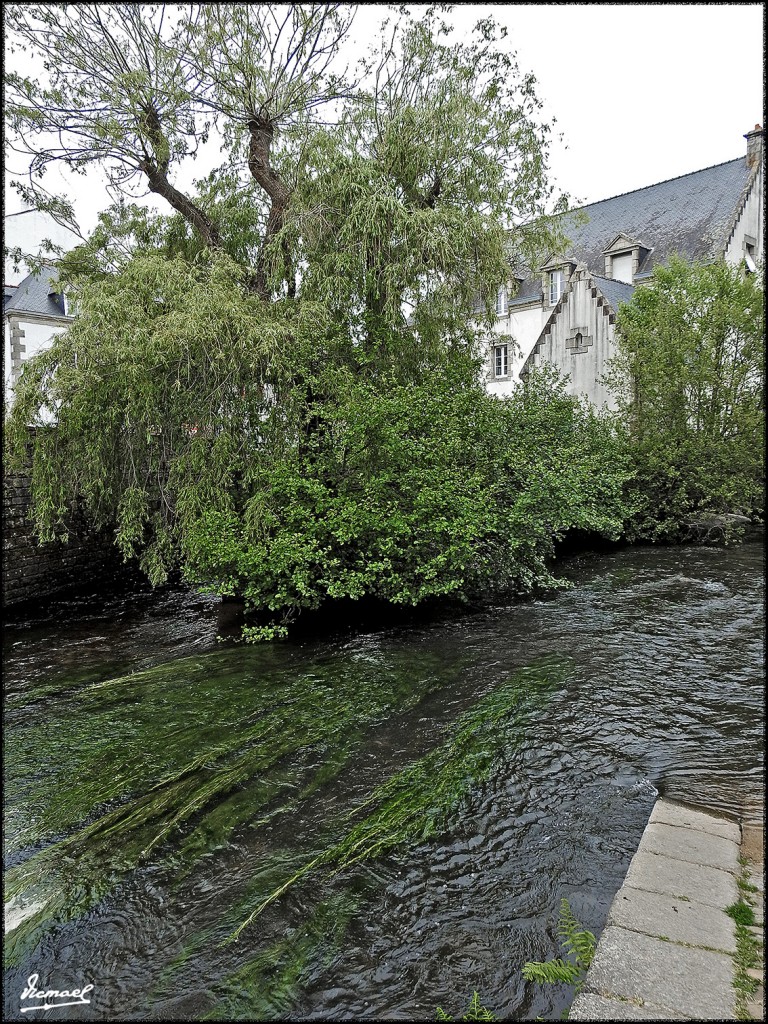 Foto: 170507-049 PONT AVEN - Pont Aven (Brittany), Francia