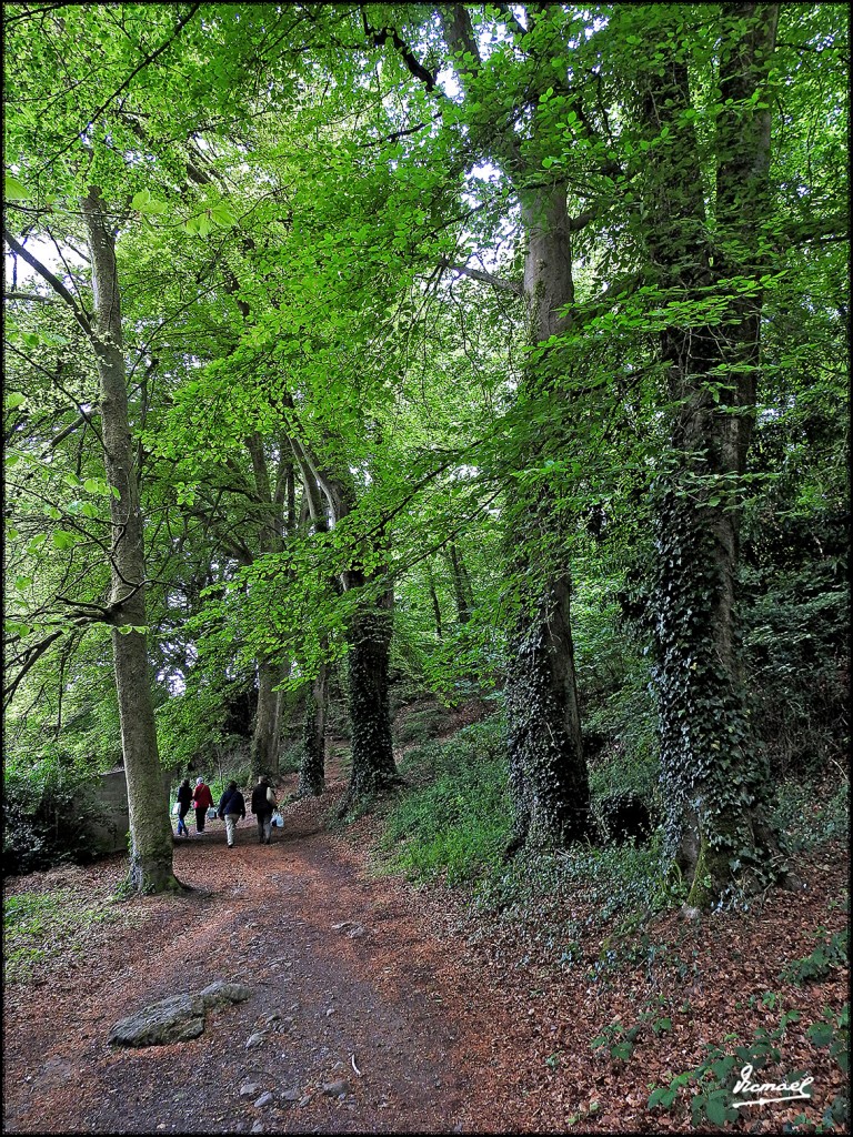 Foto: 170507-080 PONT AVEN - Pont Aven (Brittany), Francia