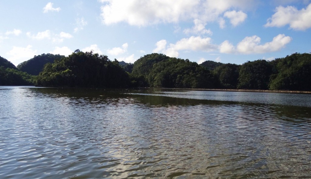 Foto: Bahía de San Lorenzo - Parque Nacional Los Haitises (Hato Mayor), República Dominicana