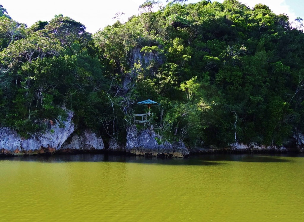 Foto: Parque Nacional Los Haitises - Parque Nacional Los Haitises (Hato Mayor), República Dominicana