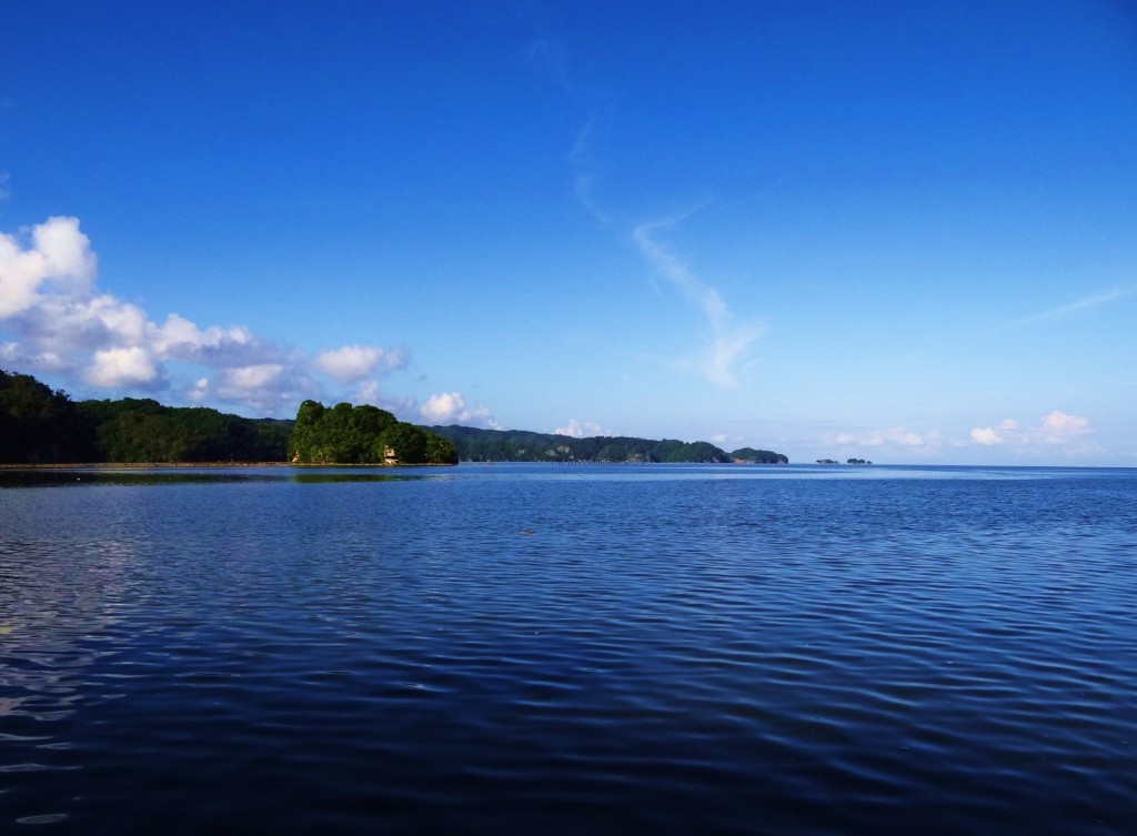 Foto: Parque Nacional Los Haitises - Parque Nacional Los Haitises (Hato Mayor), República Dominicana