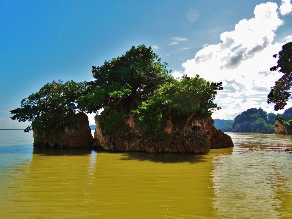 Foto: Bahía de Samaná - Parque Nacional Los Haitises (Hato Mayor), República Dominicana