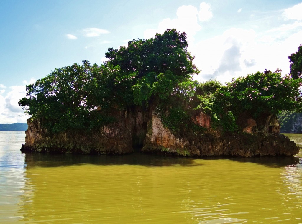 Foto: Bahía de Samaná - Parque Nacional Los Haitises (Hato Mayor), República Dominicana