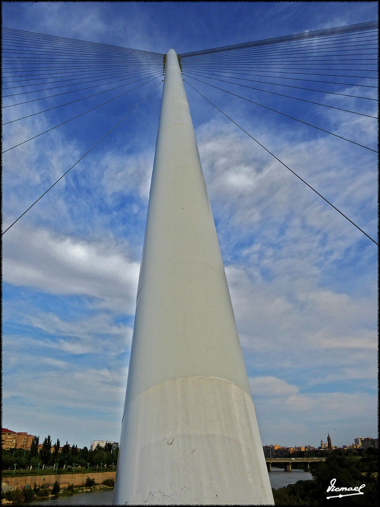 Foto: 170608-12 EBRO POR RANILLAS - Zaragoza (Aragón), España