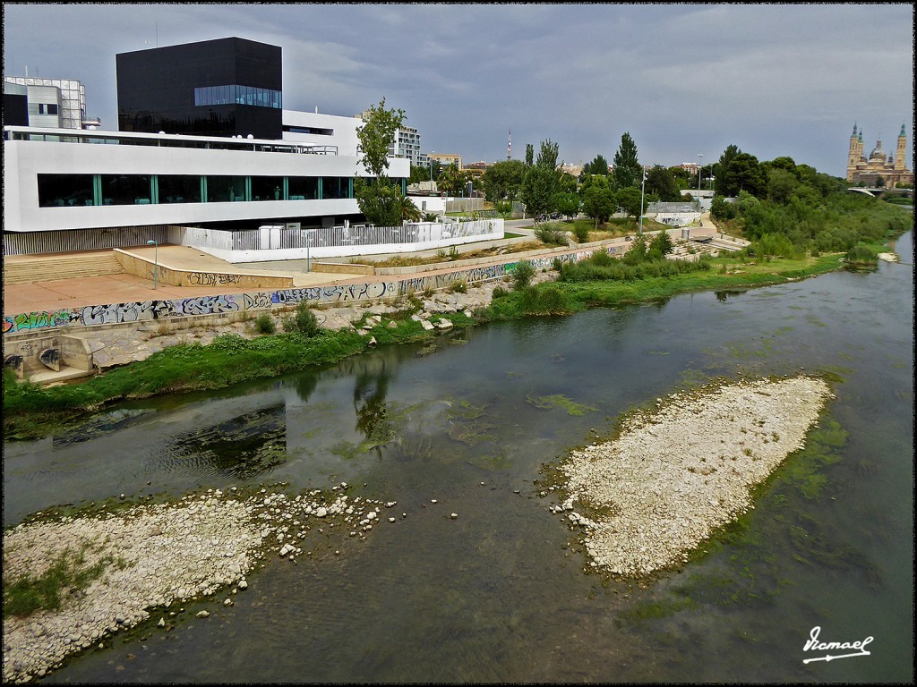 Foto: 170707-007 EBRO POR RANILLAS - Zaragoza (Aragón), España