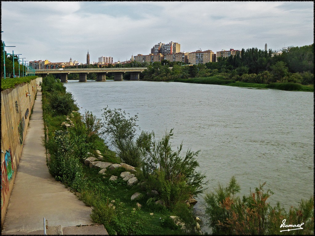 Foto: 170608-04 EBRO POR RANILLAS - Zaragoza (Aragón), España