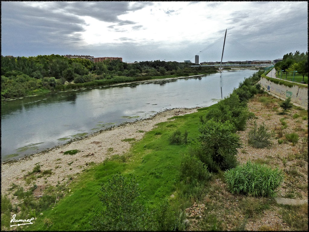 Foto: 170707-011 EBRO POR RANILLAS - Zaragoza (Aragón), España