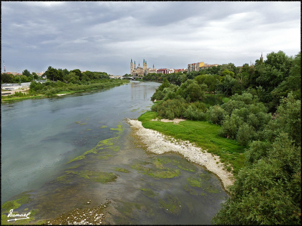 Foto: 170707-003 EBRO POR RANILLAS - Zaragoza (Aragón), España