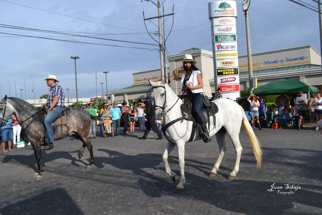 Foto: Tope Alajuela 2013 - Alajuela, Costa Rica