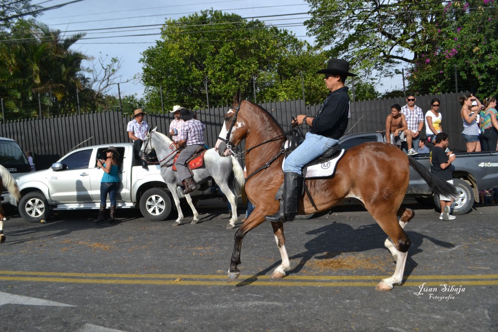 Foto: Tope Alajuela 2013 - Alajuela, Costa Rica