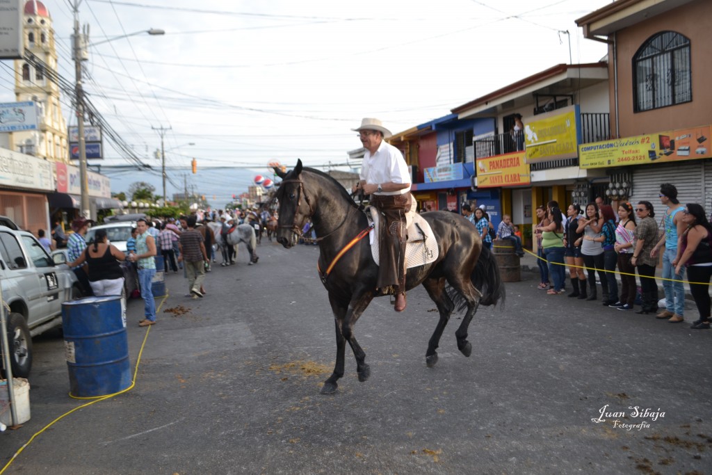 Foto: Tope Alajuela 2013 - Alajuela, Costa Rica