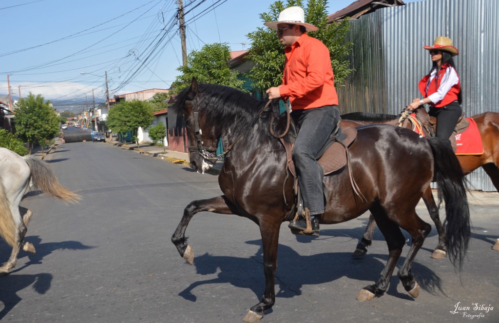 Foto: Tope Alajuela 2014 - Alajuela, Costa Rica