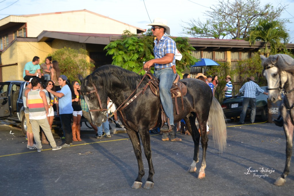 Foto: Tope Alajuela 2013 - Alajuela, Costa Rica