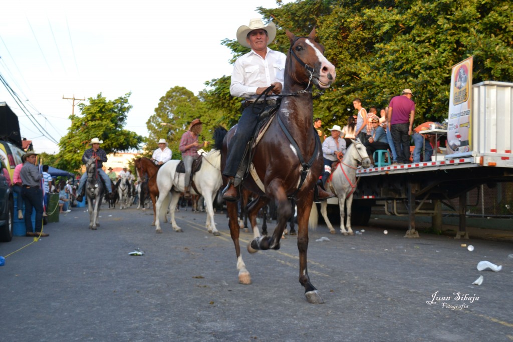 Foto: Tope Alajuela 2013 - Alajuela, Costa Rica