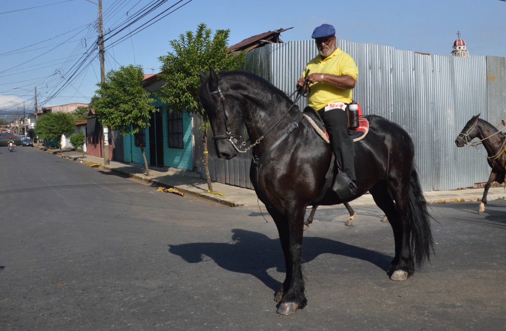 Foto: Tope Alajuela 2014 - Alajuela, Costa Rica