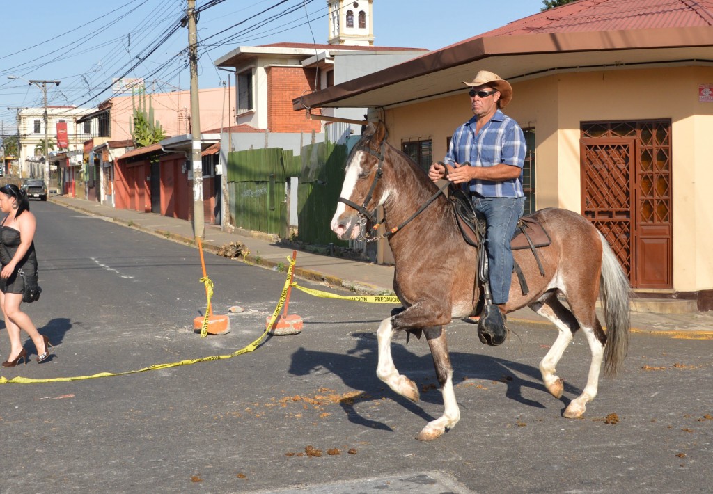 Foto: Tope Alajuela 2014 - Alajuela, Costa Rica