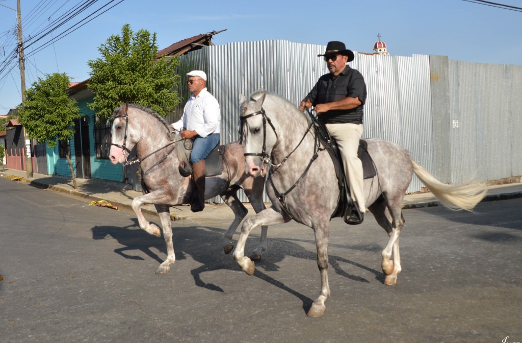 Foto: Tope Alajuela 2014 - Alajuela, Costa Rica