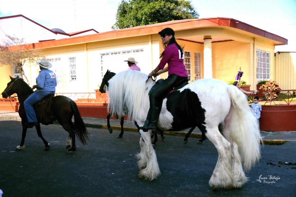 Foto: Tope Alajuela 2014 - Alajuela, Costa Rica