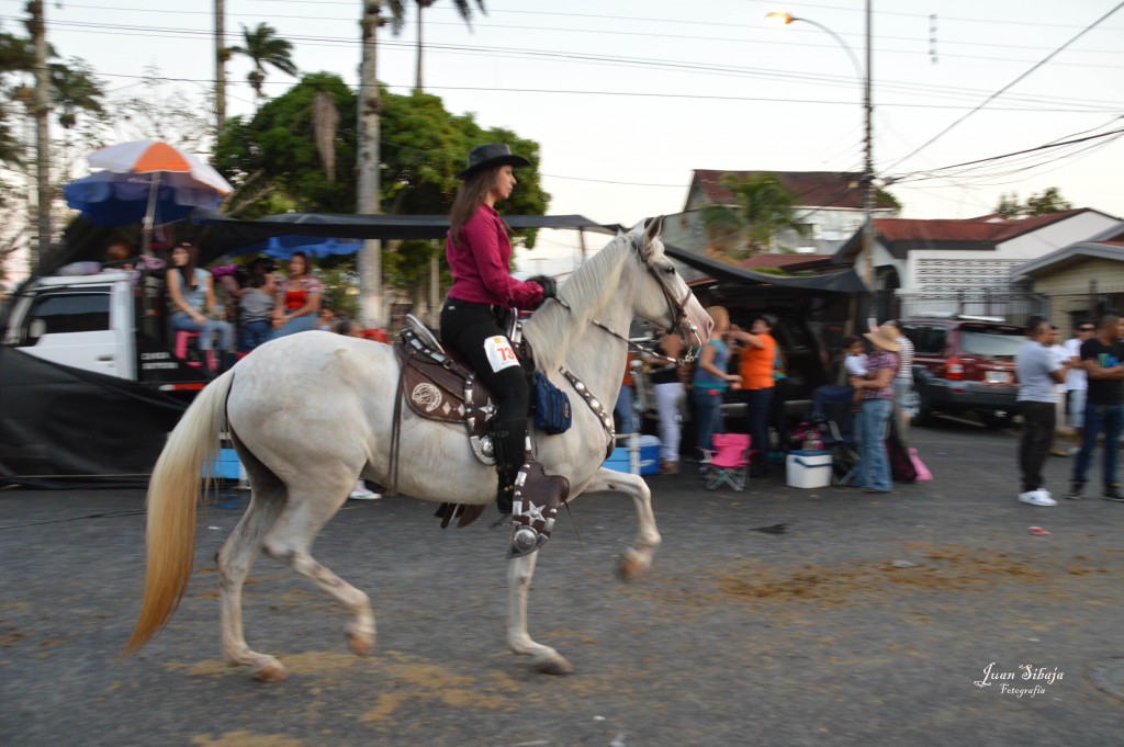 Foto: Tope Alajuela 2014 - Alajuela, Costa Rica