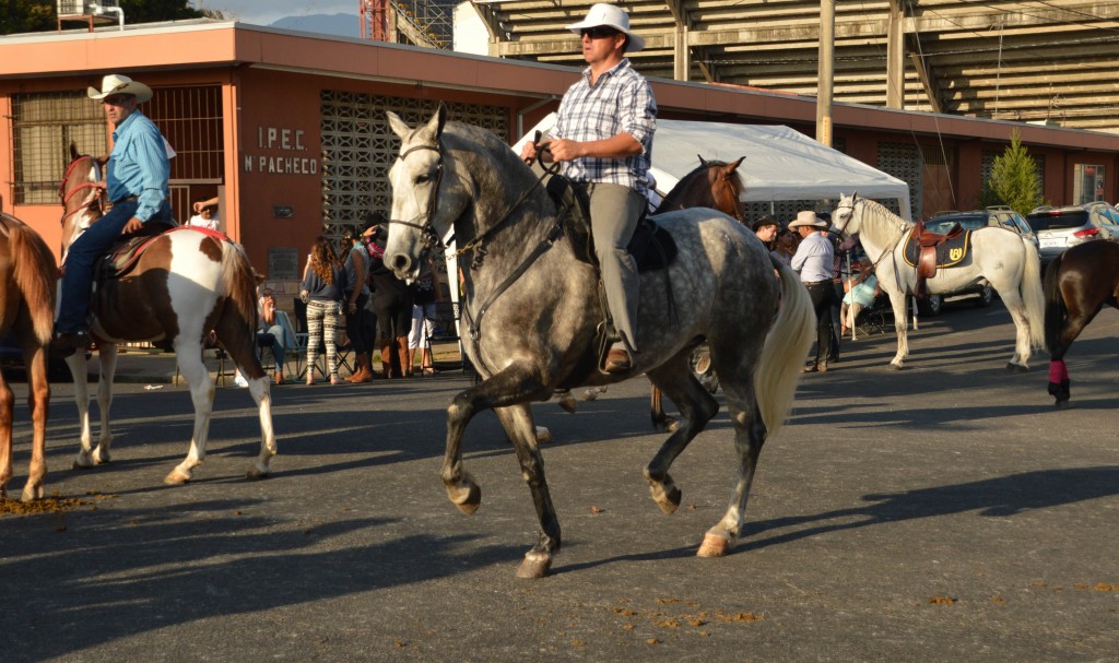 Foto: Tope Alajuela 2014 - Alajuela, Costa Rica