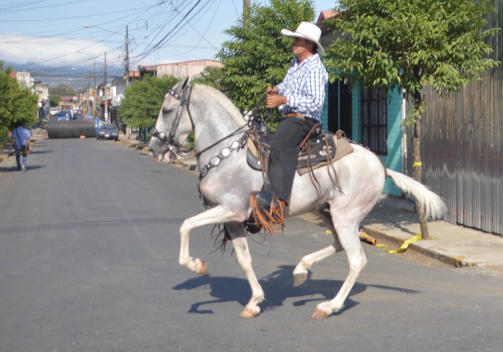 Foto: Tope Alajuela 2014 - Alajuela, Costa Rica