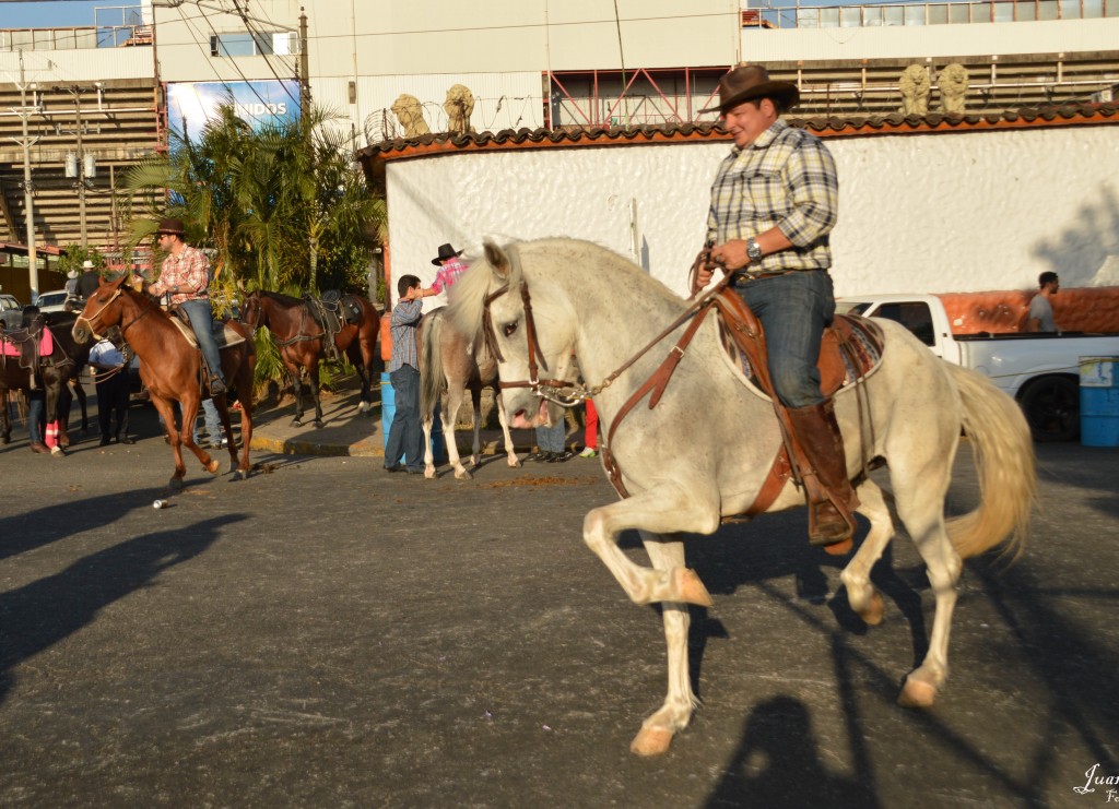 Foto: Tope Alajuela 2014 - Alajuela, Costa Rica