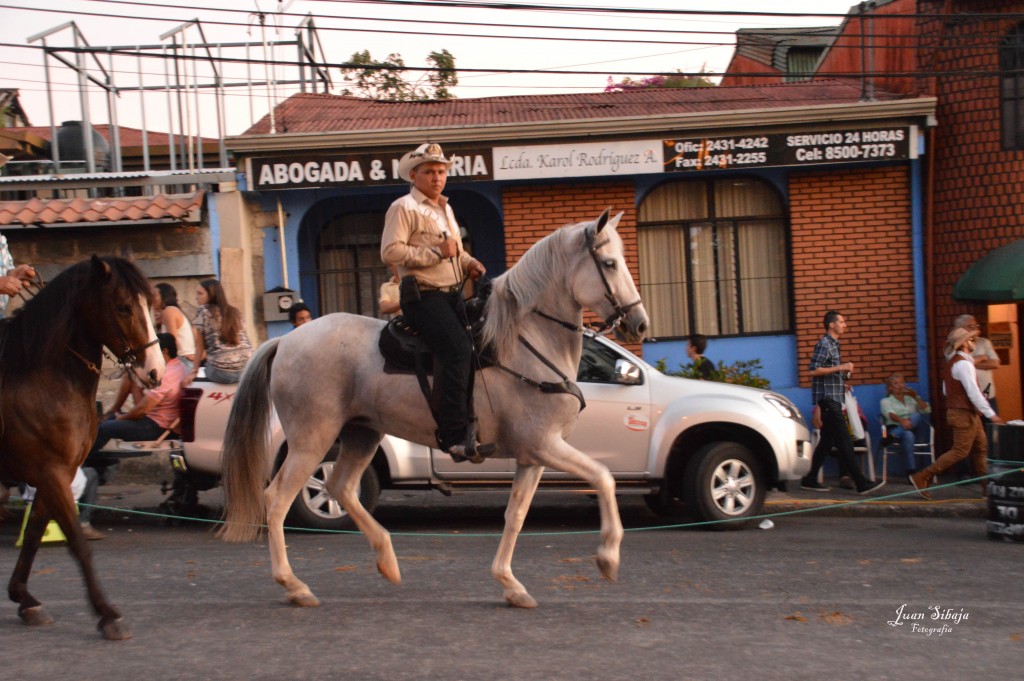 Foto: Tope Alajuela 2014 - Alajuela, Costa Rica