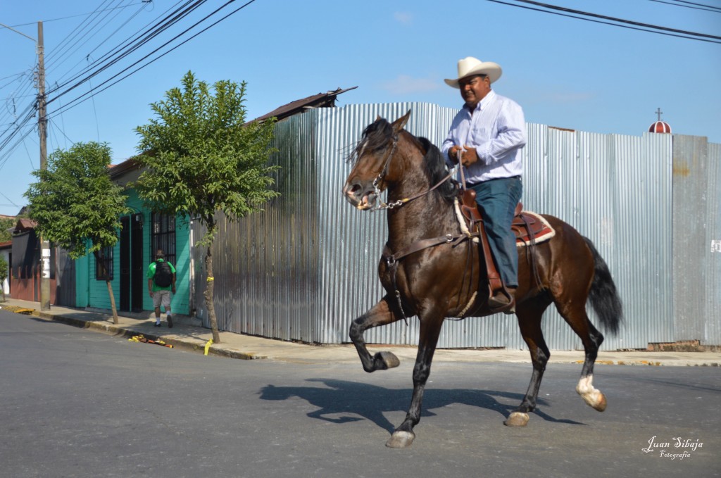 Foto: Tope Alajuela 2014 - Alajuela, Costa Rica