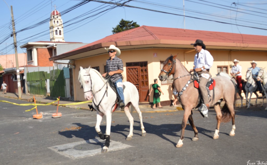 Foto: Tope Alajuela 2014 - Alajuela, Costa Rica