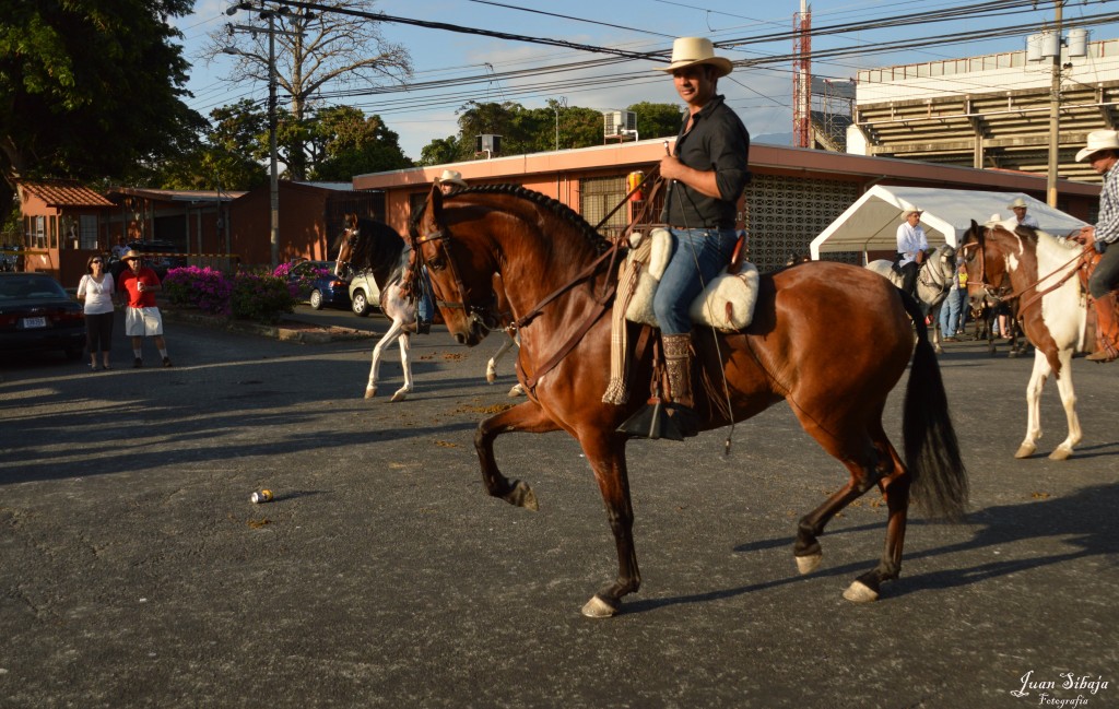 Foto: Tope Alajuela 2014 - Alajuela, Costa Rica