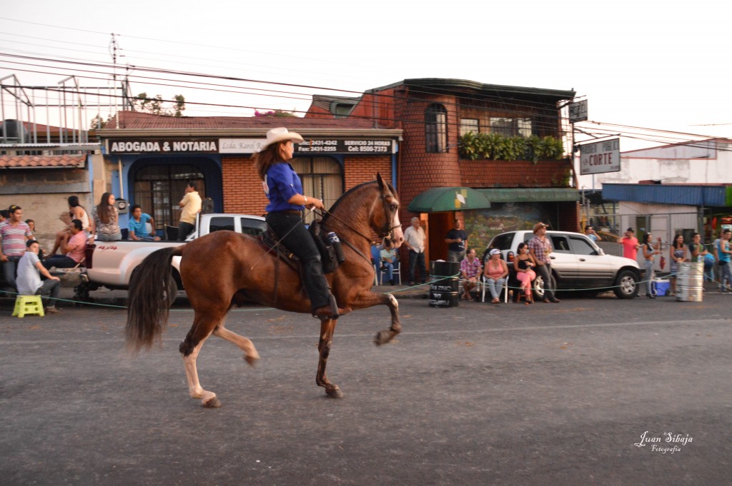 Foto: Tope Alajuela 2014 - Alajuela, Costa Rica