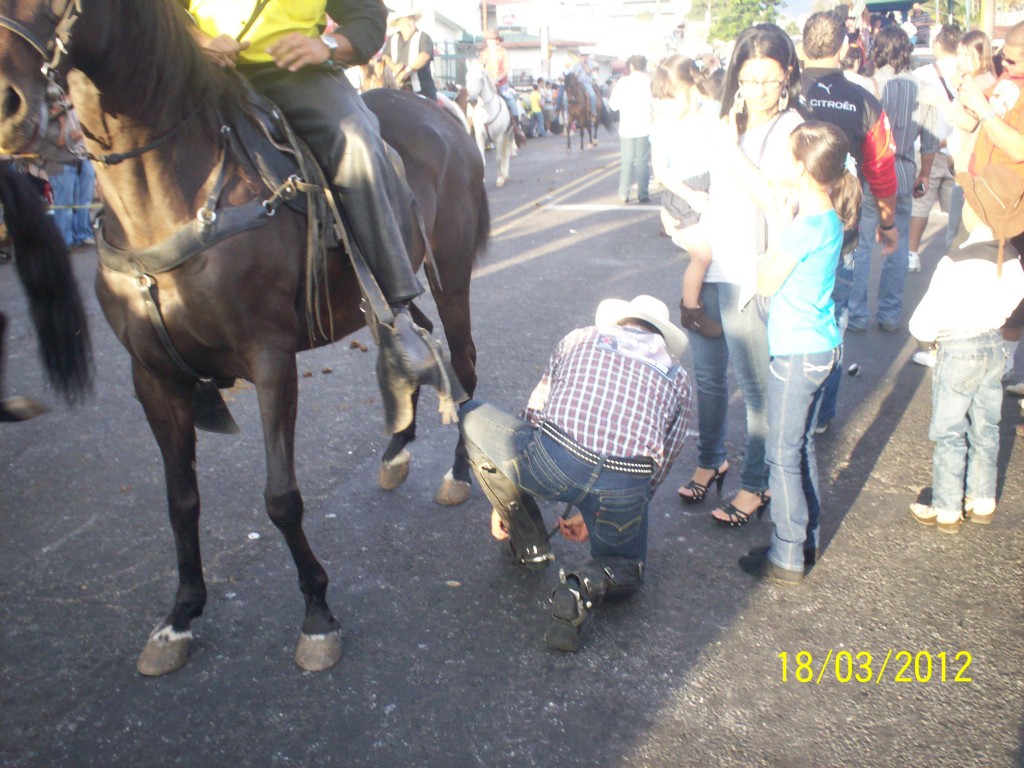 Foto: Tope Alajuela 2012 - Alajuela, Costa Rica