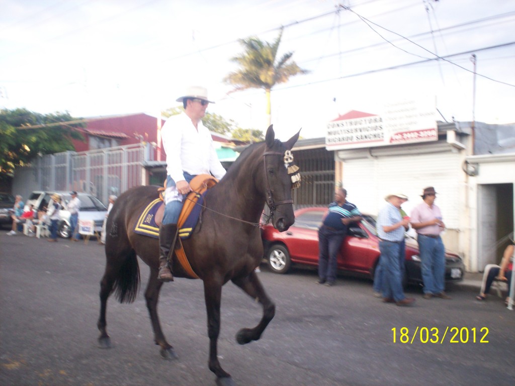 Foto: Tope Alajuela 2012 - Alajuela, Costa Rica