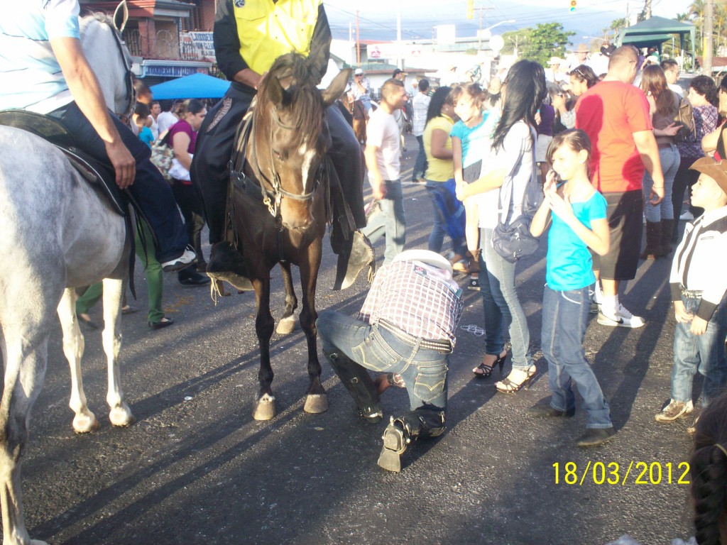 Foto: Tope Alajuela 2012 - Alajuela, Costa Rica