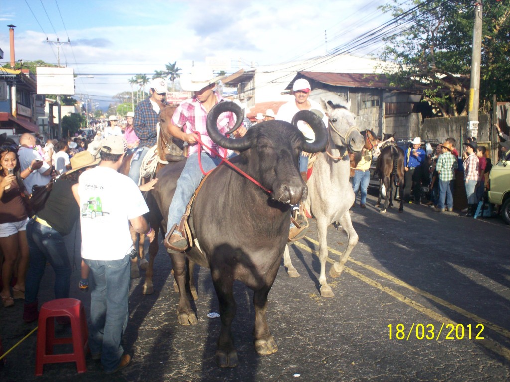 Foto: Tope Alajuela 2012 - Alajuela, Costa Rica