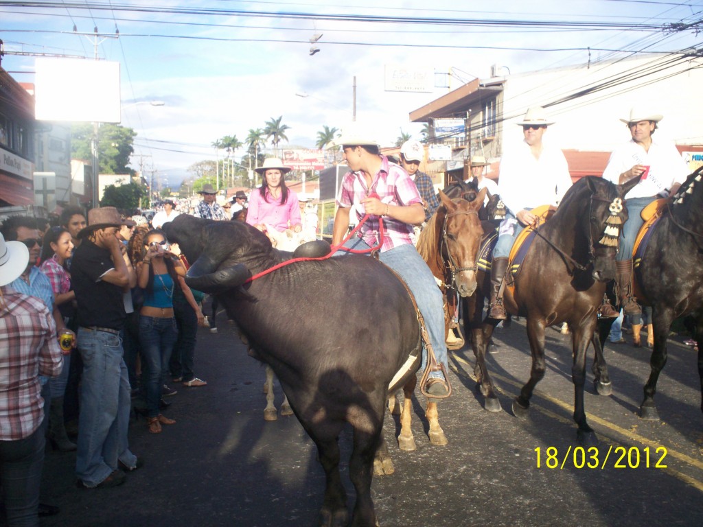 Foto: Tope Alajuela 2012 - Alajuela, Costa Rica