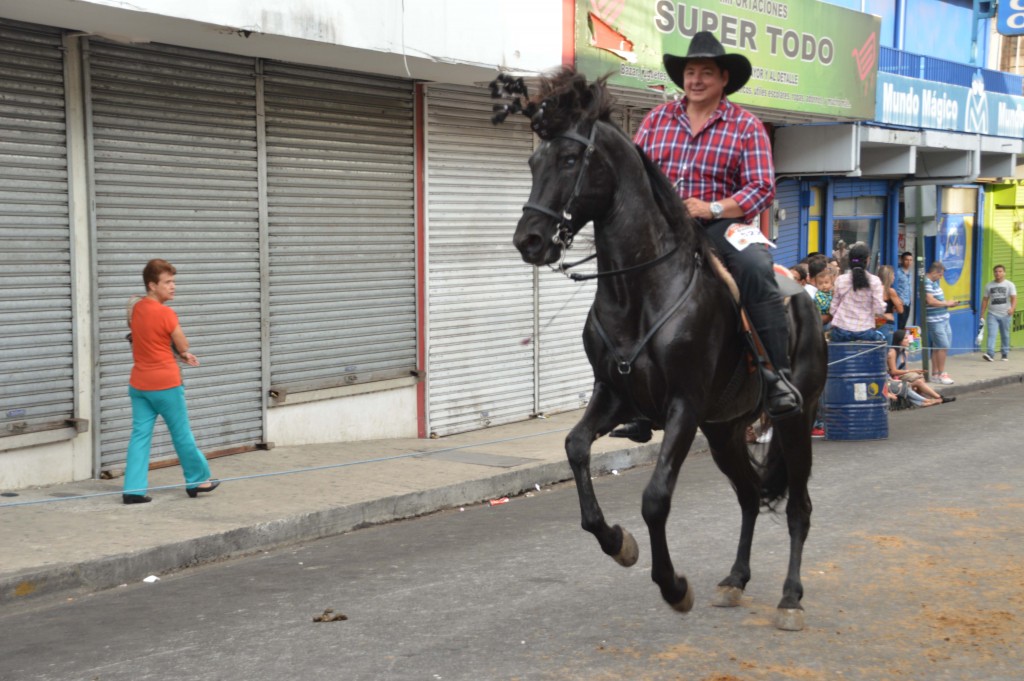 Foto: Tope Alajuela 2017 - Alajuela, Costa Rica