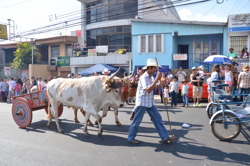 Foto: Tope Alajuela 2017 - Alajuela, Costa Rica