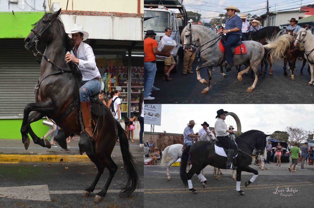 Foto: Tope DE Alajuela 2016 -1 - Alajuela, Costa Rica