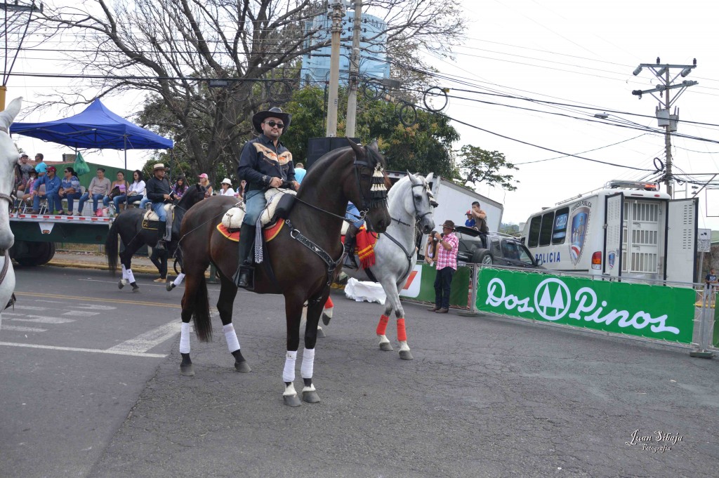 Foto: Tope de Alajuela 2016 -1 - Alajuela, Costa Rica