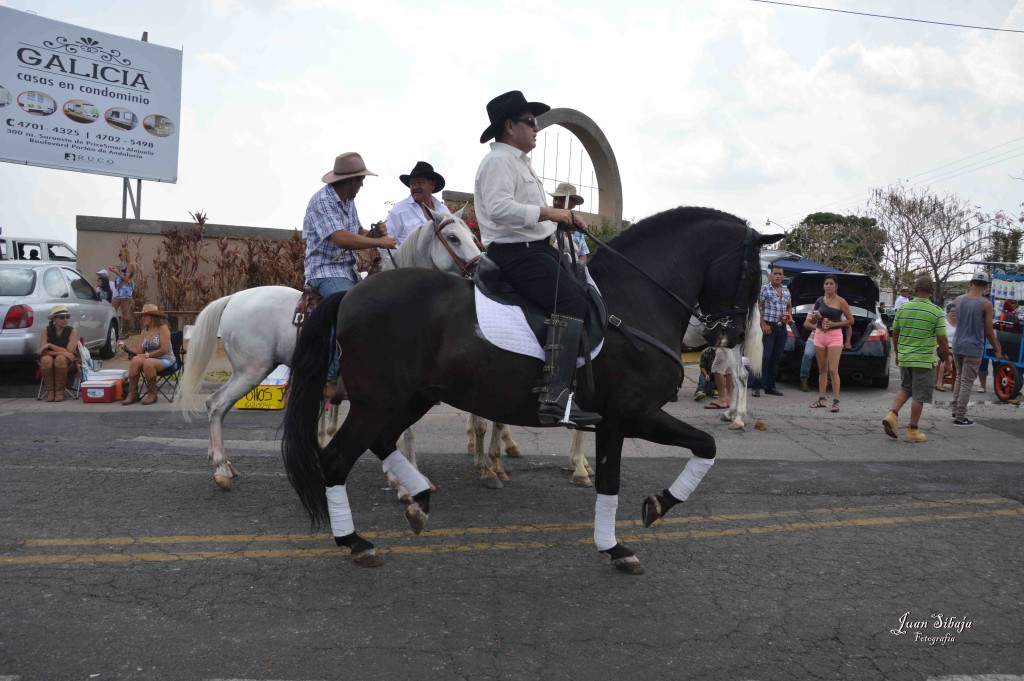 Foto: Tope de Alajuela 2016 -1 - Alajuela, Costa Rica