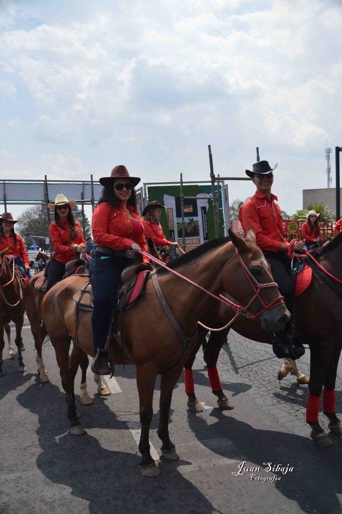 Foto: Tope de Alajuela 2016 -1 - Alajuela, Costa Rica