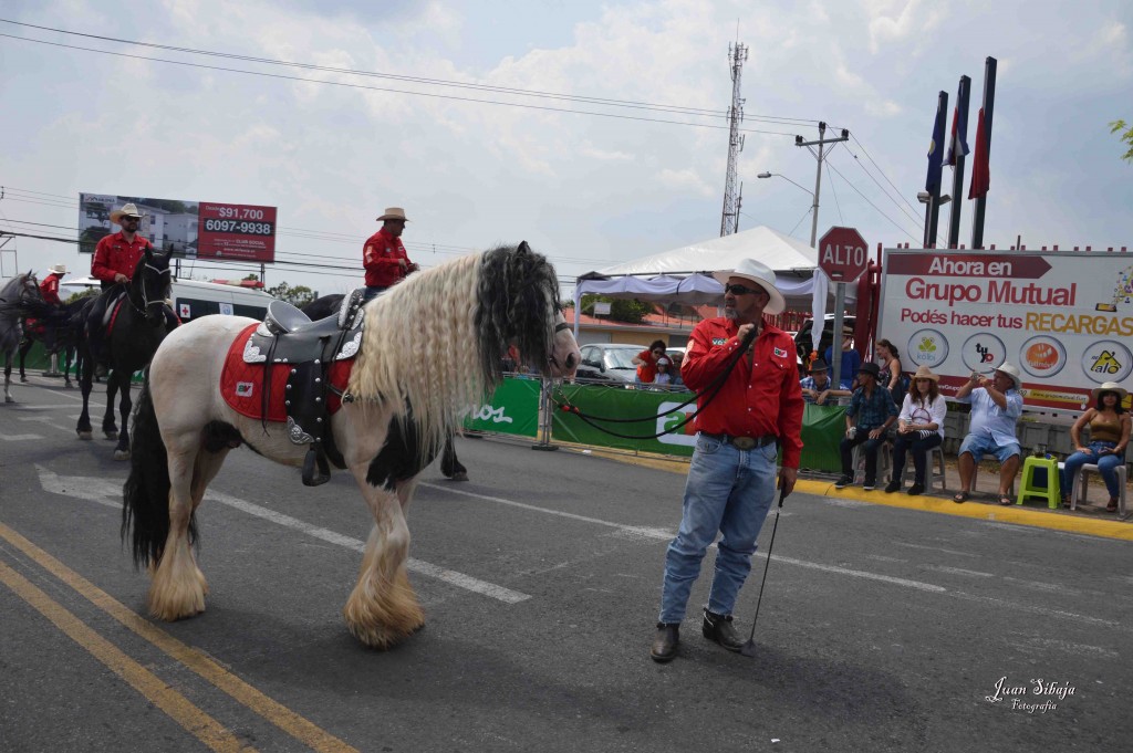 Foto: Tope de Alajuela 2016 -1 - Alajuela, Costa Rica