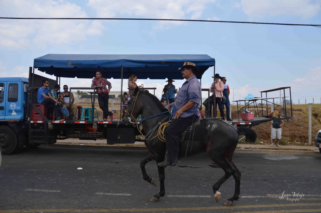 Foto: Tope de Alajuela 2016 -4 - Alajuela, Costa Rica