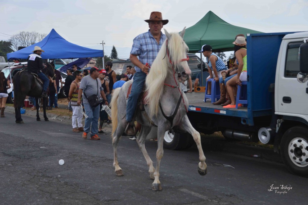 Foto: Tope de Alajuela 2016 -2 - Alajuela, Costa Rica