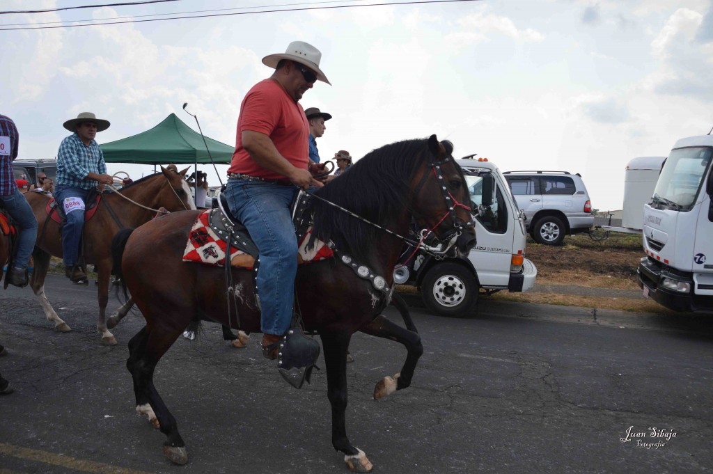 Foto: Tope de Alajuela 2016 -4 - Alajuela, Costa Rica